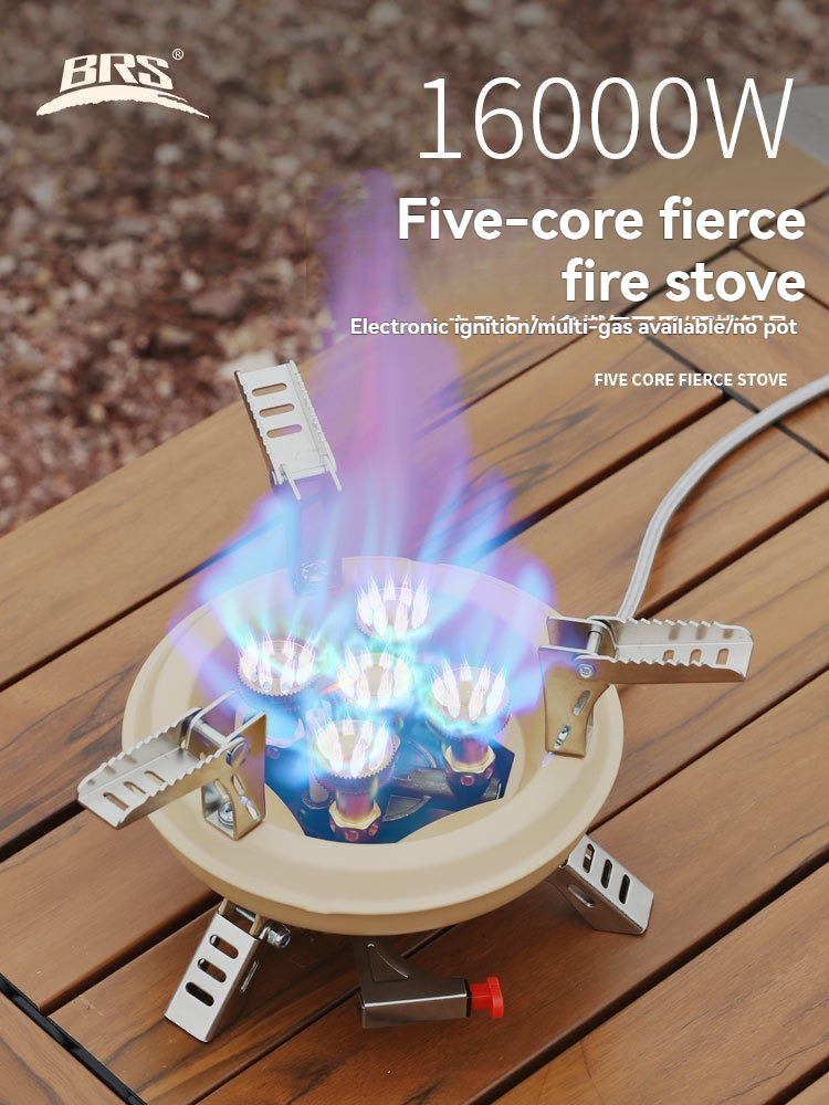 BRS-201A Portable Camping Gas  - đánh giá và giá Camping Cooking Propane